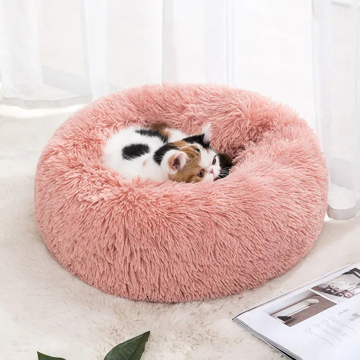 PlushPup Donut Cuddle Bed