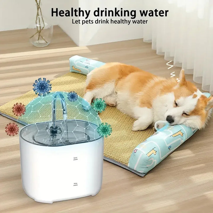 Purifine Pet Water Dispenser