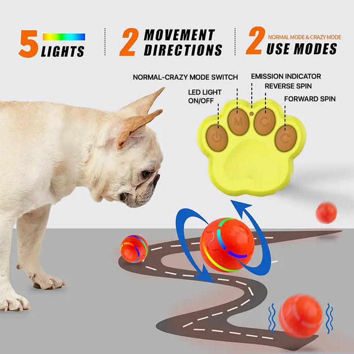 GlowChase Smart Ball Toy