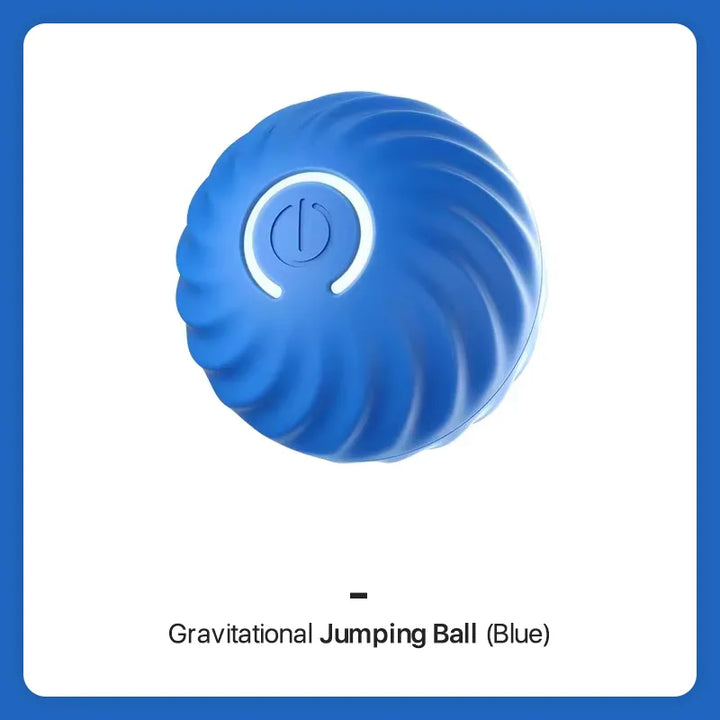 PupJoy Interactive Ball Toy