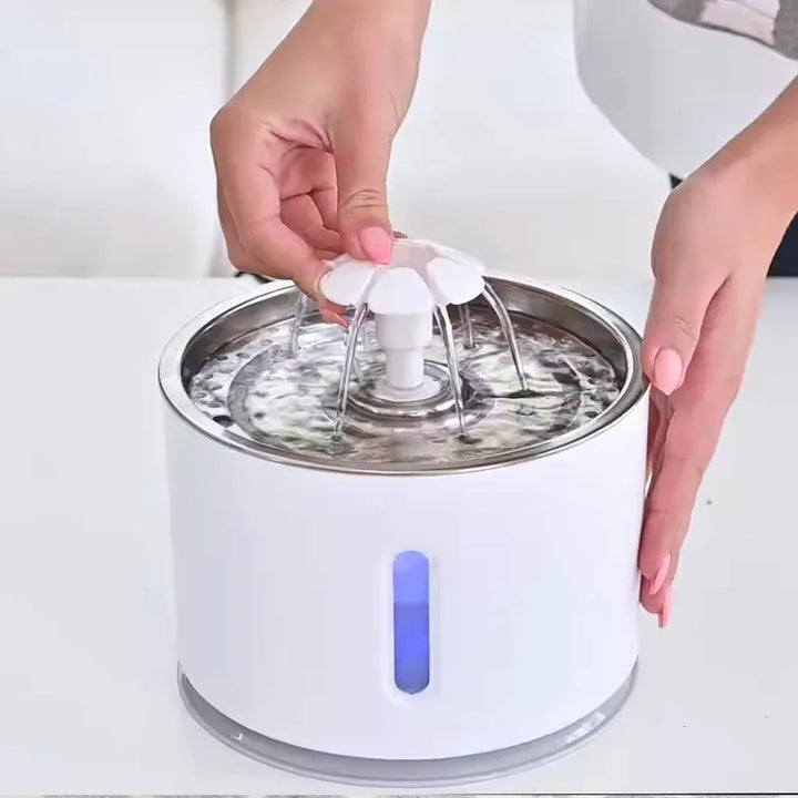 EverClean Automatic Pet Fountain