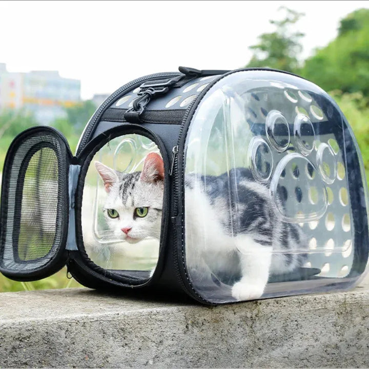 PurrView Transparent Travel Bag