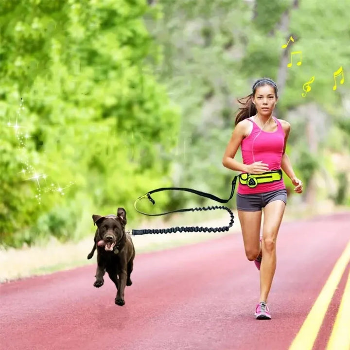 FlexiWalk Hands-Free Leash