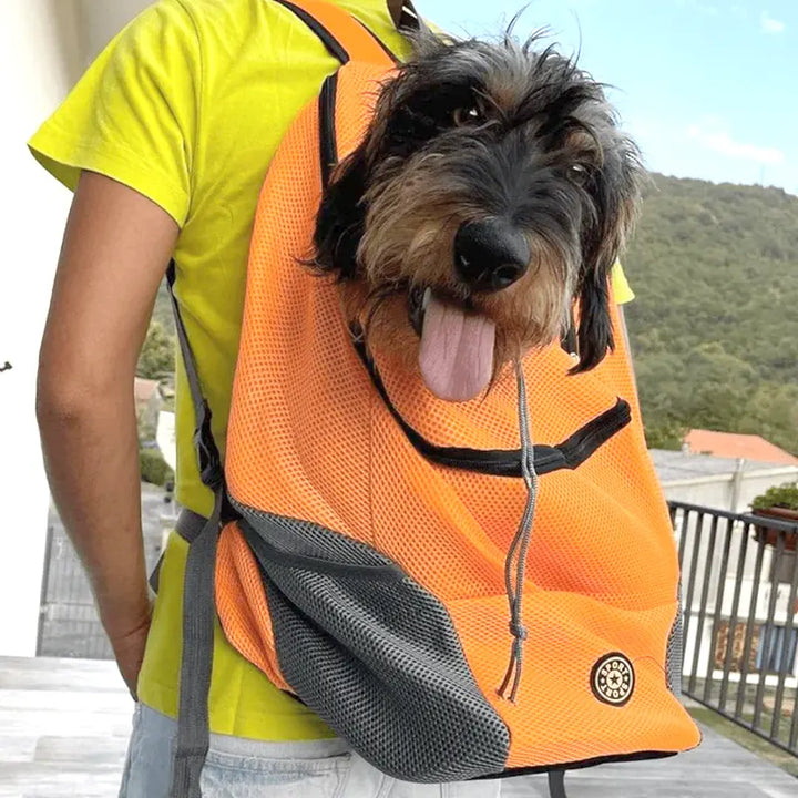 Doggy Pet Adventure Backpack