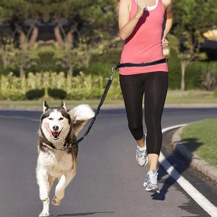 FlexiWalk Hands-Free Leash