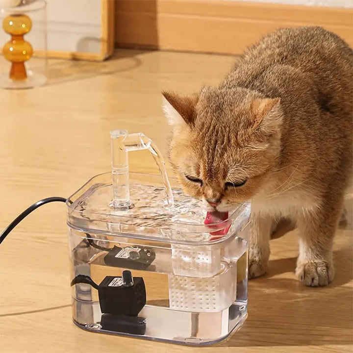 HydroPurr Cat Water Fountain