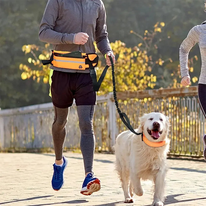 FlexiWalk Hands-Free Leash