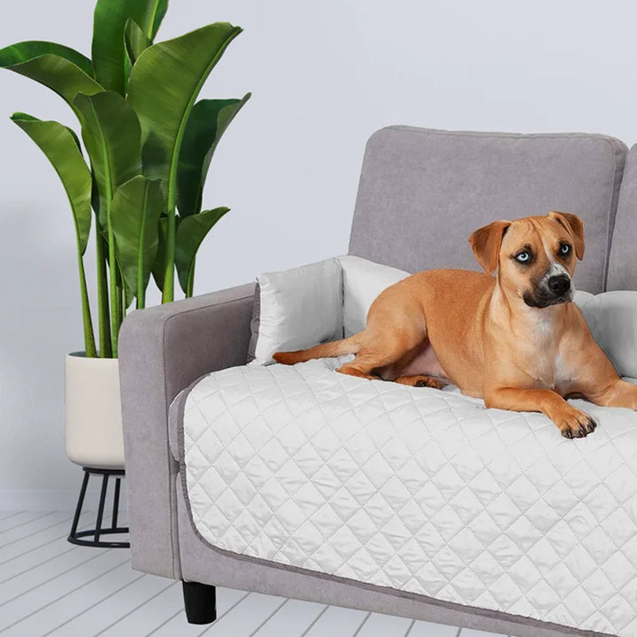 PawPrint Waterproof Sofa Cover