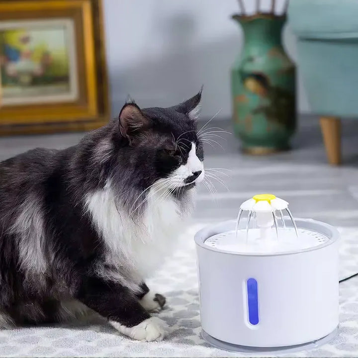 EverClean Automatic Pet Fountain