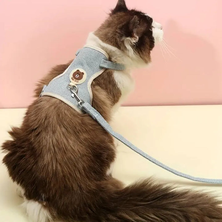 MiniMochi Vest & Leash Set