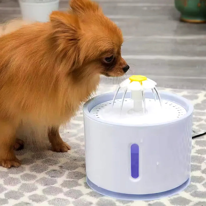 EverClean Automatic Pet Fountain