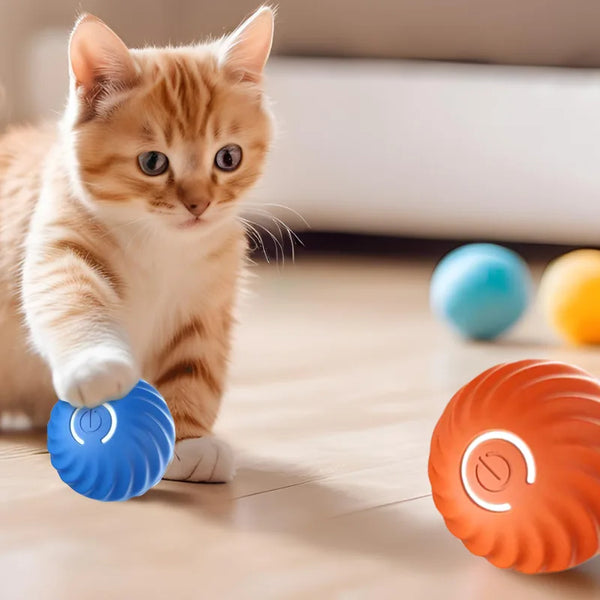 PupJoy Interactive Ball Toy