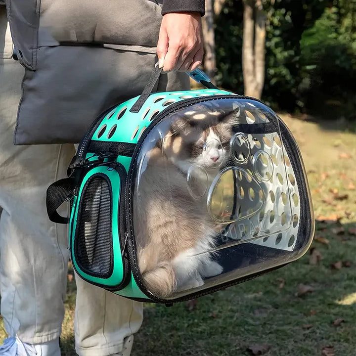 PurrView Transparent Travel Bag