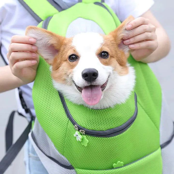 Doggy Pet Adventure Backpack