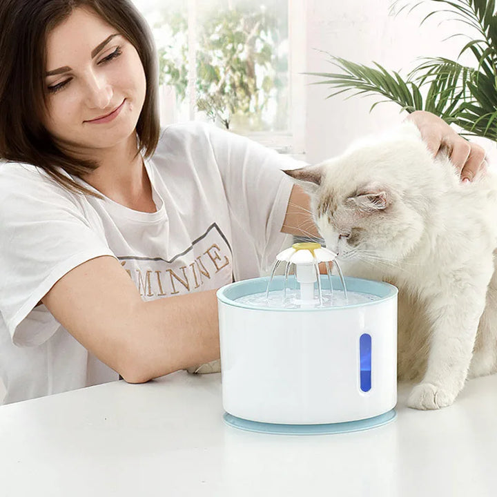 EverClean Automatic Pet Fountain