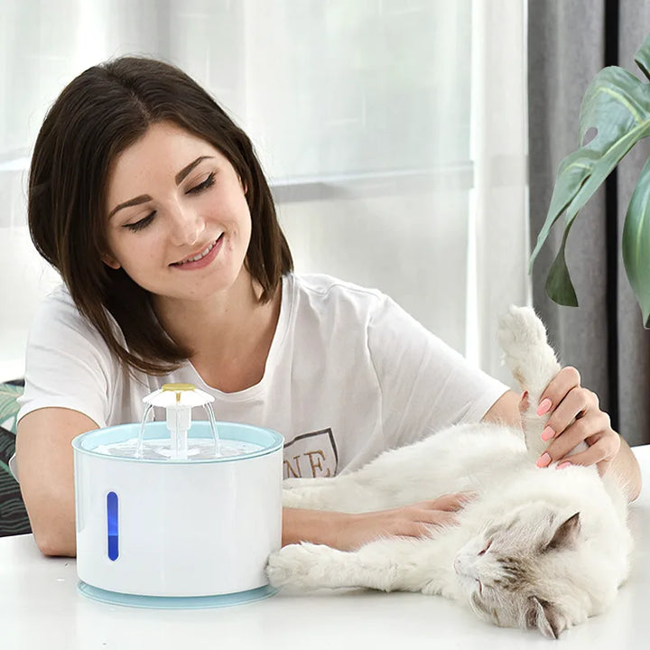 EverClean Automatic Pet Fountain