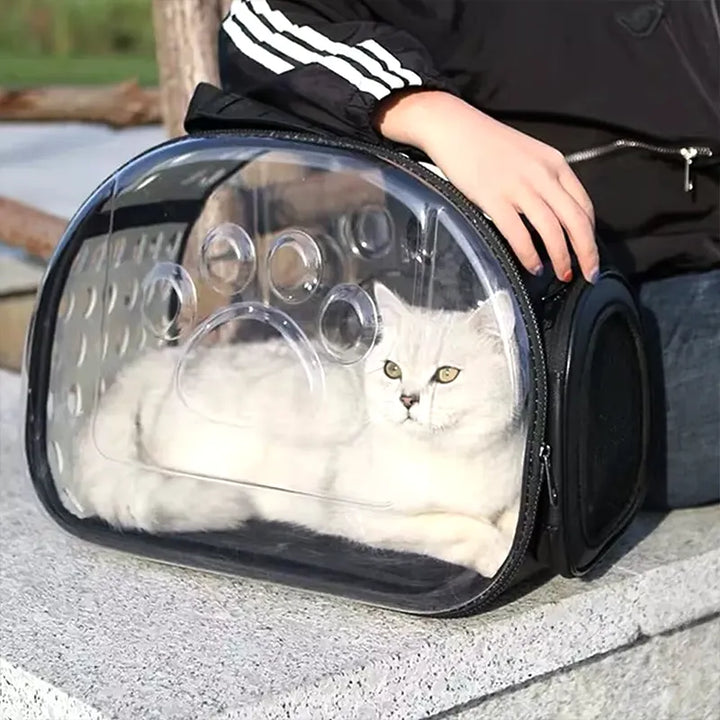 PurrView Transparent Travel Bag