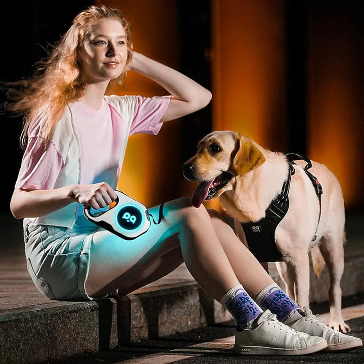 LumoLux LED Retractable Leash