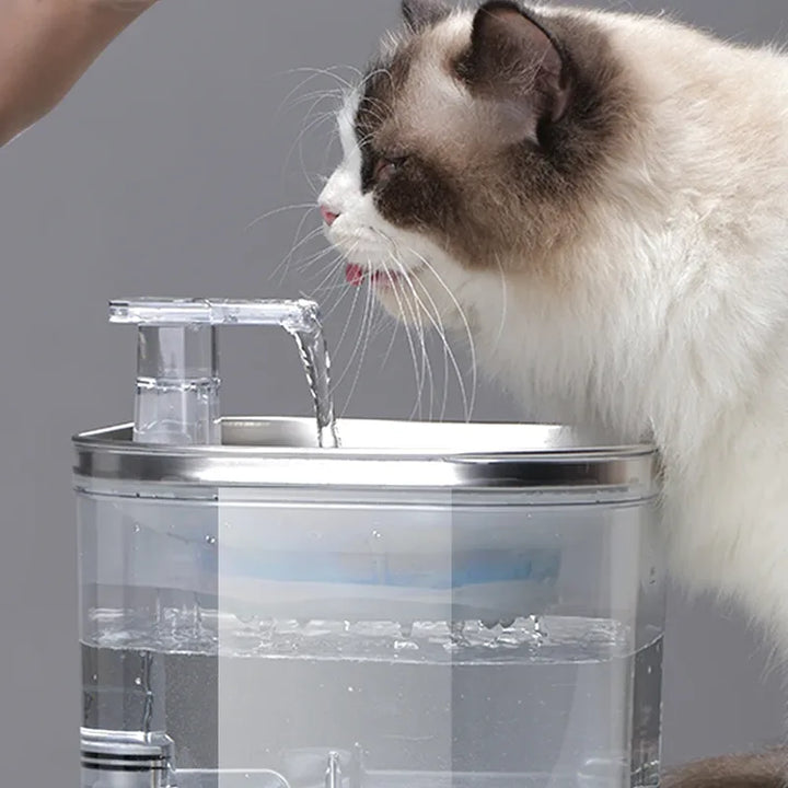 FurFresh Smart Water Dispenser