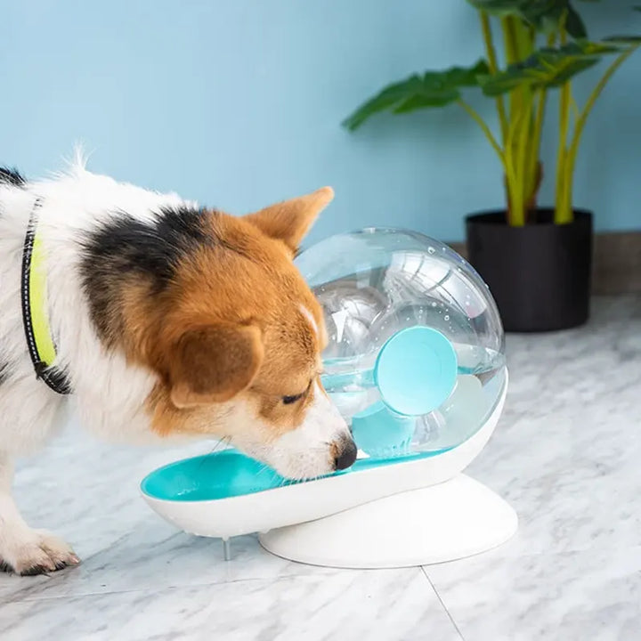 AquaSnail Automatic Water Dispenser