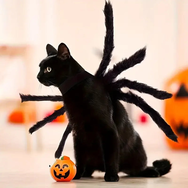 Spider Frenzy Pet Costume