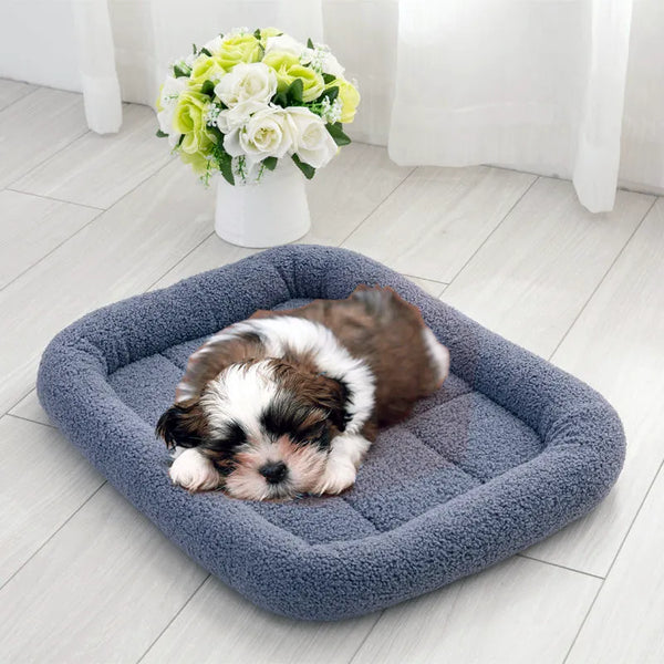 DreamScape Comfort Plush Pad