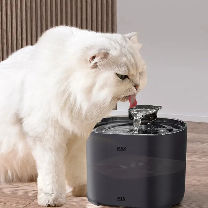 Feline Auto Water Dispenser