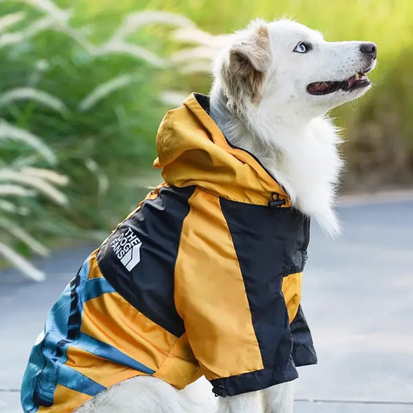 UrbanWag Stylish Raincoat