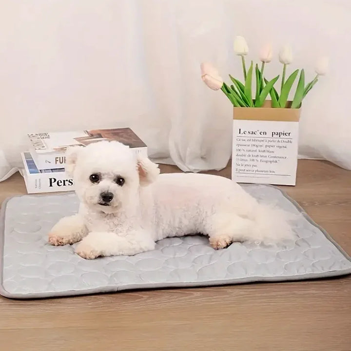 IcePet Pet Cooling Mat