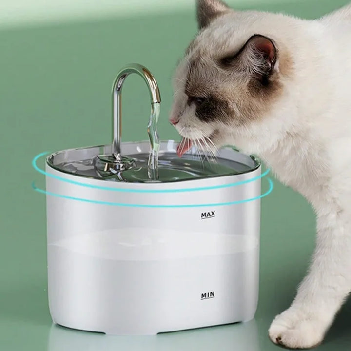 Purifine Pet Water Dispenser