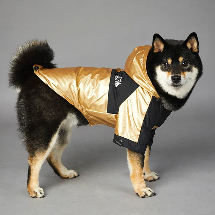 RainyDay Hooded Dog Rain Jacket