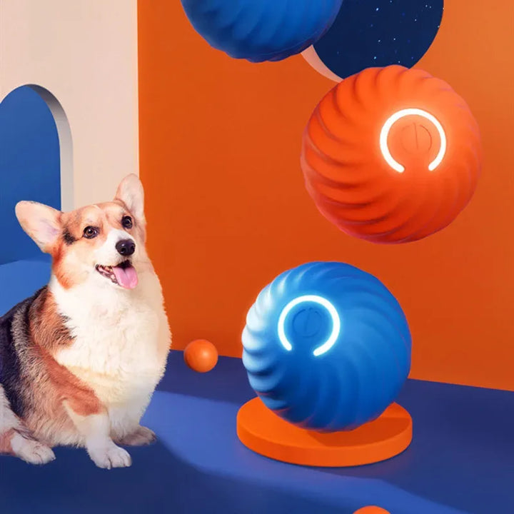 PupJoy Interactive Ball Toy