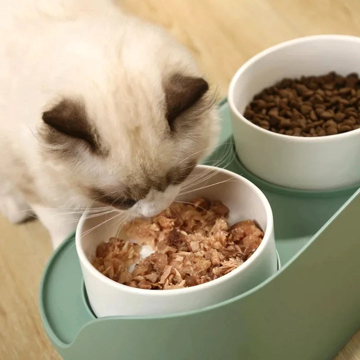 Ceramic Cat Bowl Protects The Cervical Spine Against Black Chin