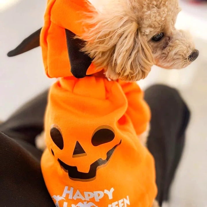 Pumpkin Patch Pet Hoodie