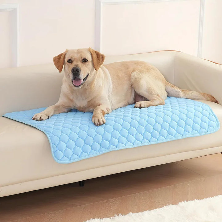 IcePet Pet Cooling Mat