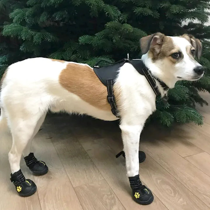 TrueLove Anti-slip Dog Boots