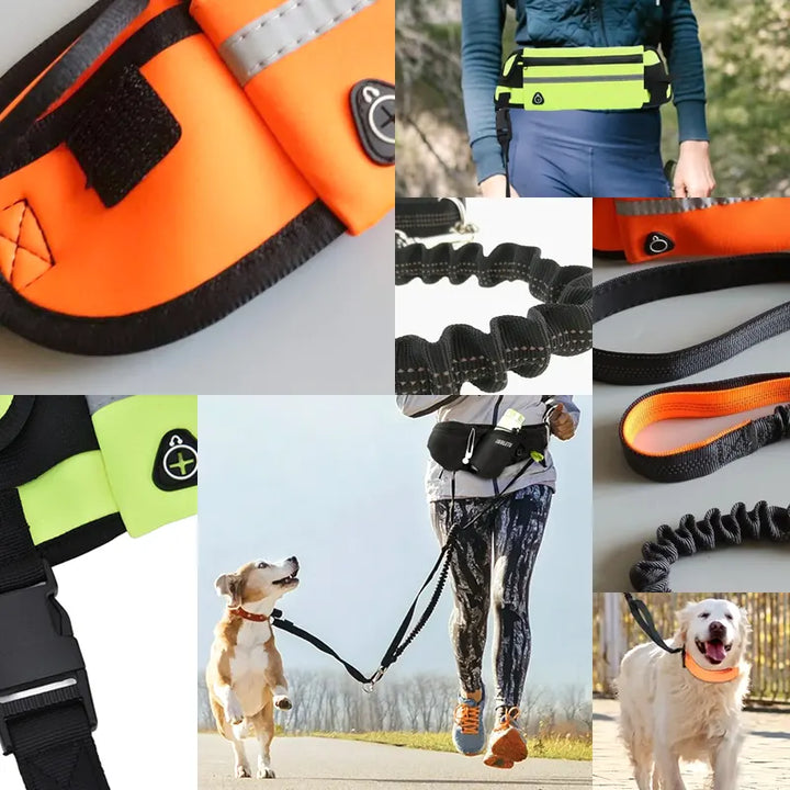 FlexiWalk Hands-Free Leash