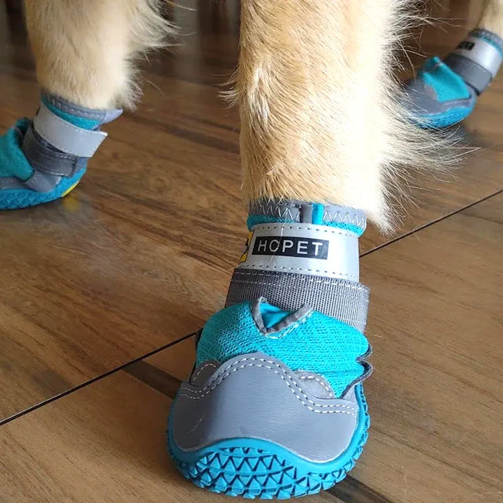 PaTerra Expedition Dog Shoes