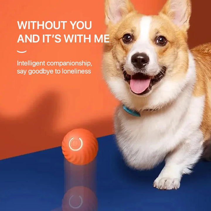 PupJoy Interactive Ball Toy