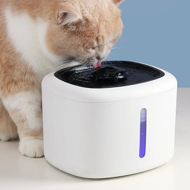 NatureSip Smart Pet Fountain