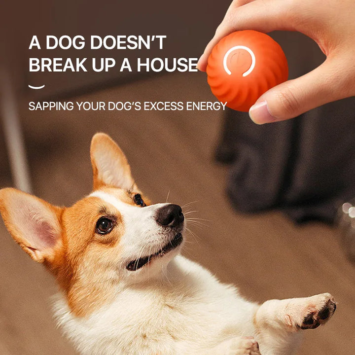 PupJoy Interactive Ball Toy