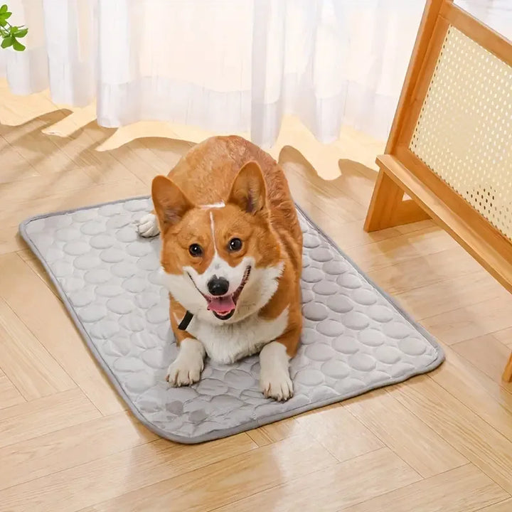 IcePet Pet Cooling Mat