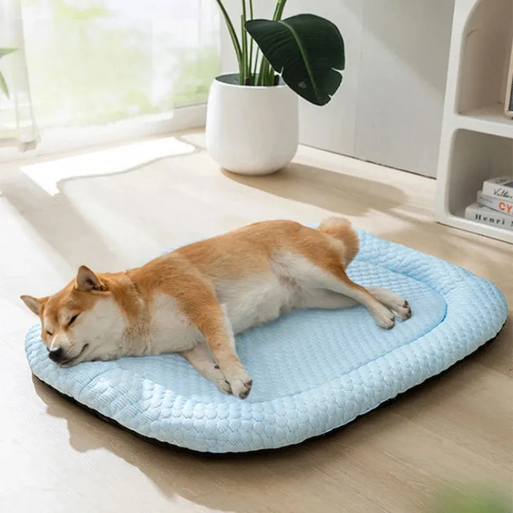 CoolCore Cooling Pet Mat