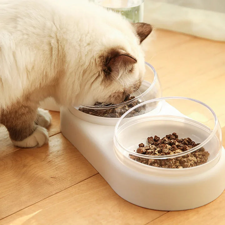 Cat Food and Water Bowl 