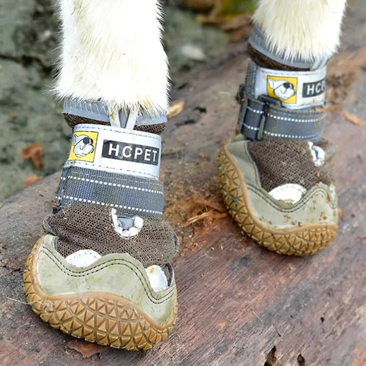 PaTerra Expedition Dog Shoes