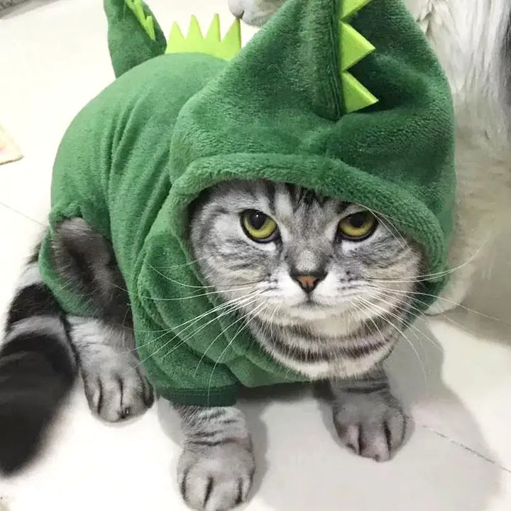 Cozyrex Dinosaur Hooded Costume