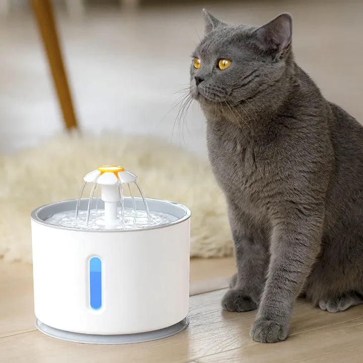 EverClean Automatic Pet Fountain