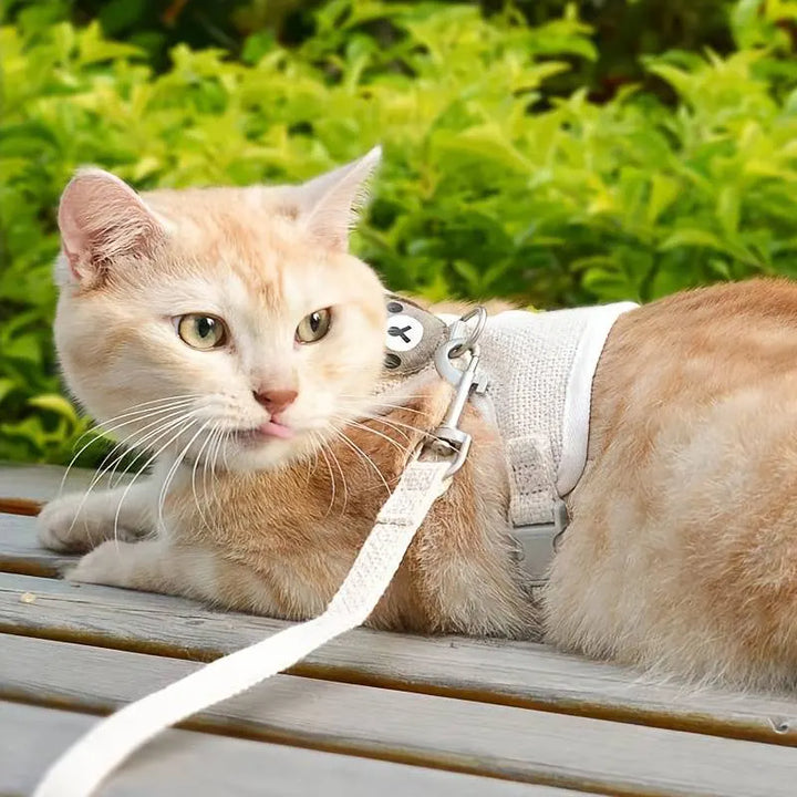 MiniMochi Vest & Leash Set