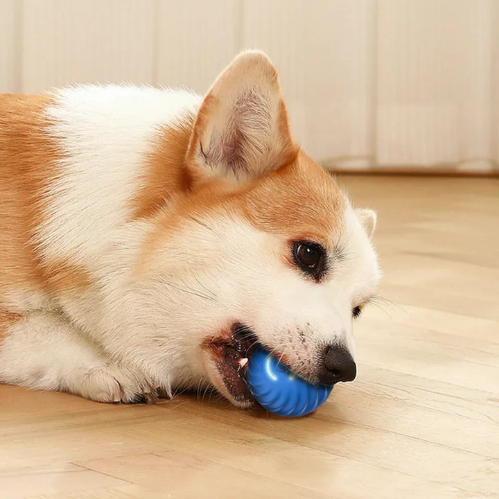 PupJoy Interactive Ball Toy