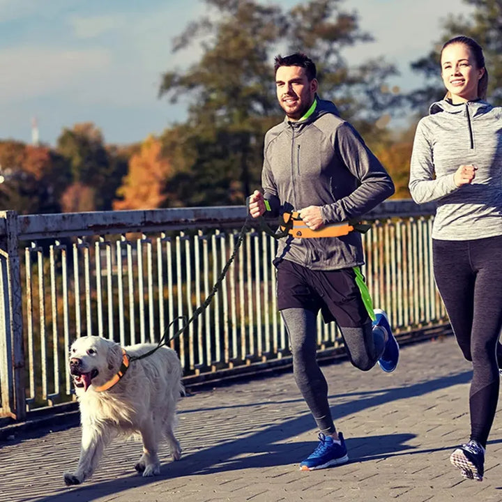 FlexiWalk Hands-Free Leash